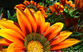 Fotografie Farbe Andreas N. Schubert | © Andreas N. Schubert | Grafikdesign. Webprogrammierung. 3D-Visualisierung.